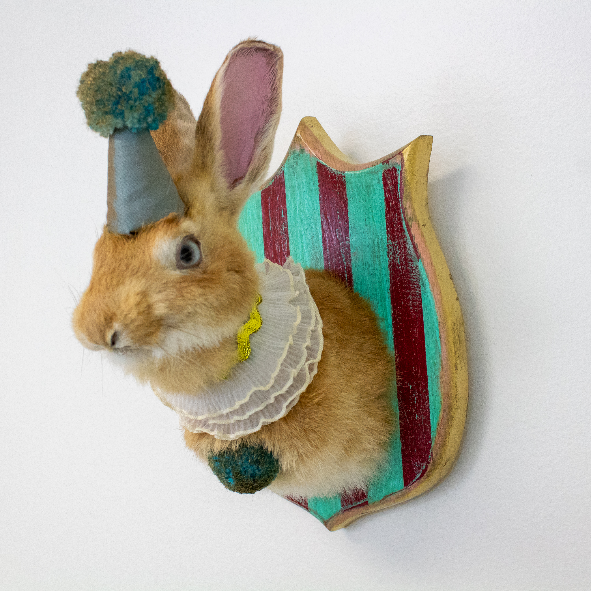 Bunny Lane - "Clara"