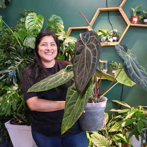 Yarden Bins | Studio 2034 | Pure Joy Plants