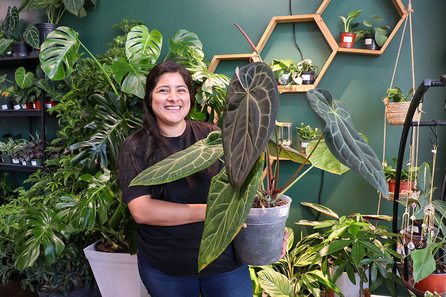 Yarden Bins | Studio 2034 | Pure Joy Plants