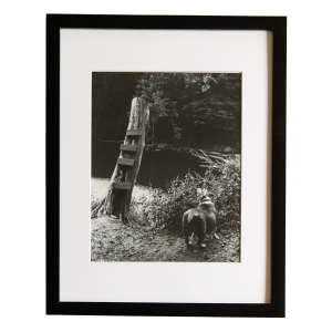 Leigh Ann Edmonds - Forgotten Rope Swing