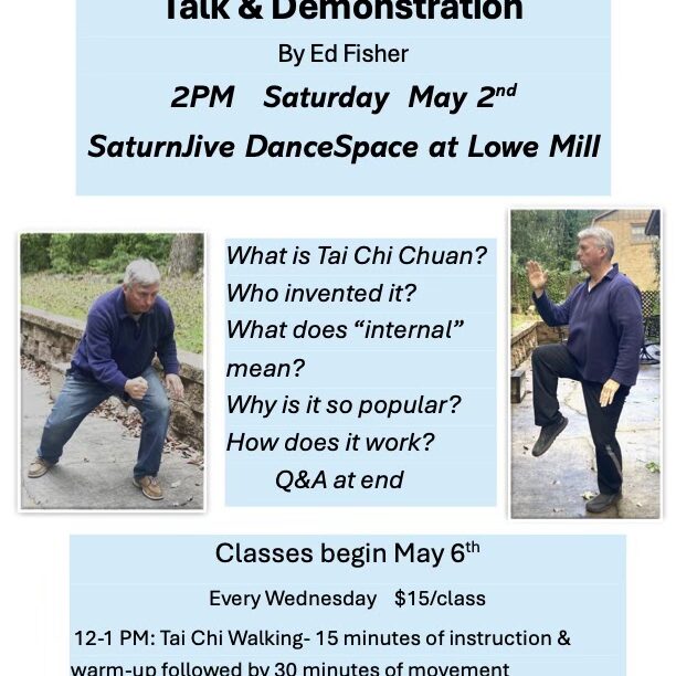 Taiji Flyer (1) - SaturnJiVe DanceSpace